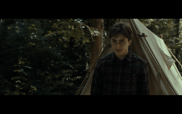 Harry Potter and the Deathly Hallows Part 1 - 695