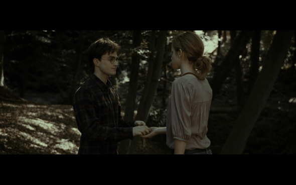 Harry Potter and the Deathly Hallows Part 1 - 696