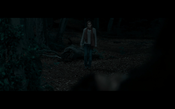 Harry Potter and the Deathly Hallows Part 1 - 700