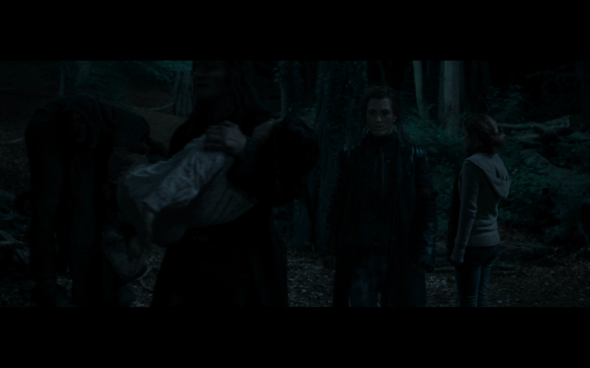 Harry Potter and the Deathly Hallows Part 1 - 701