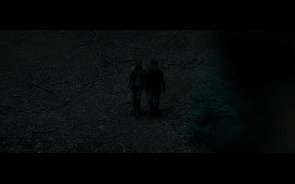 Harry Potter and the Deathly Hallows Part 1 - 706