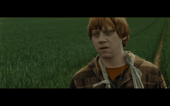 Harry Potter and the Deathly Hallows Part 1 - 709