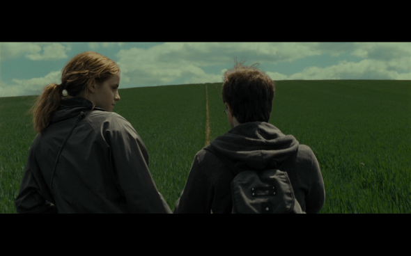 Harry Potter and the Deathly Hallows Part 1 - 710