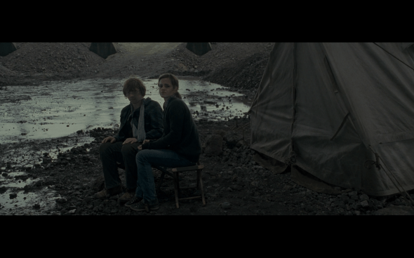 Harry Potter and the Deathly Hallows Part 1 - 716