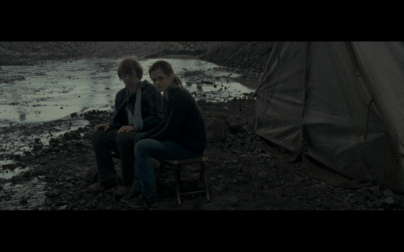 Harry Potter and the Deathly Hallows Part 1 - 717