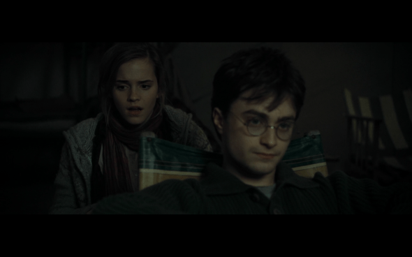 Harry Potter and the Deathly Hallows Part 1 - 722
