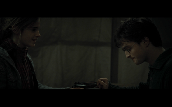 Harry Potter and the Deathly Hallows Part 1 - 725