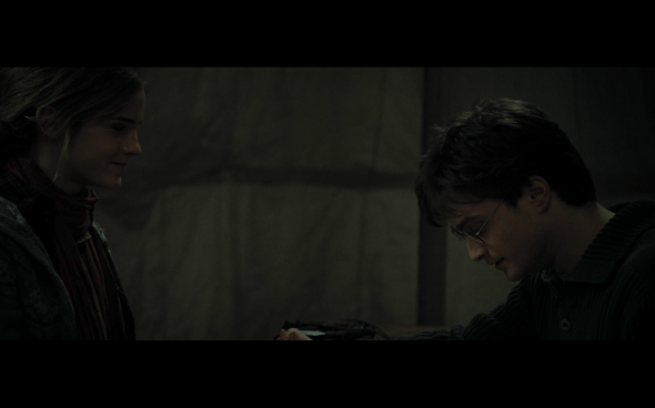 Harry Potter and the Deathly Hallows Part 1 - 726