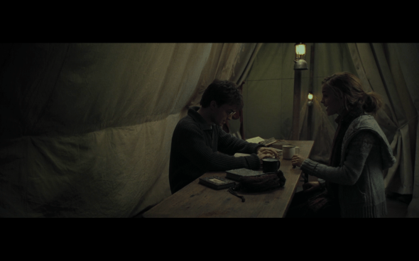 Harry Potter and the Deathly Hallows Part 1 - 727