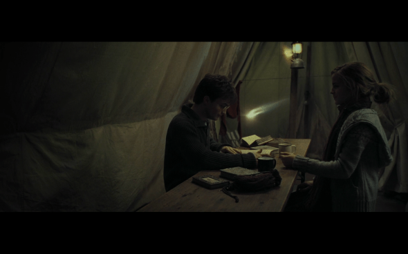 Harry Potter and the Deathly Hallows Part 1 - 728