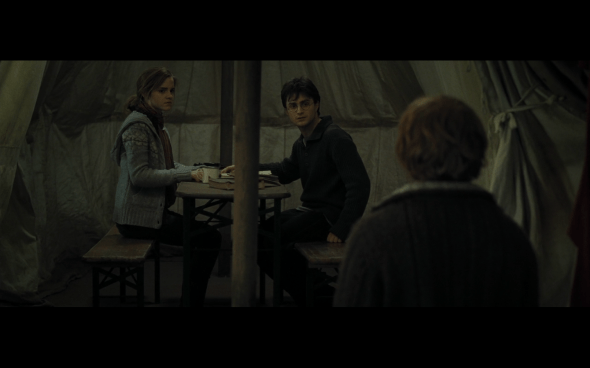 Harry Potter and the Deathly Hallows Part 1 - 733