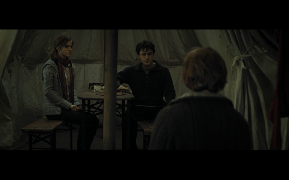 Harry Potter and the Deathly Hallows Part 1 - 735