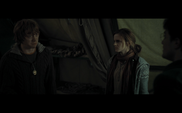 Harry Potter and the Deathly Hallows Part 1 - 736