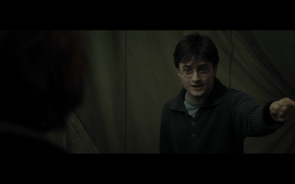 Harry Potter and the Deathly Hallows Part 1 - 737
