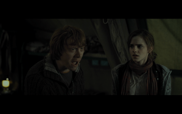 Harry Potter and the Deathly Hallows Part 1 - 738