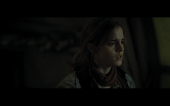 Harry Potter and the Deathly Hallows Part 1 - 740