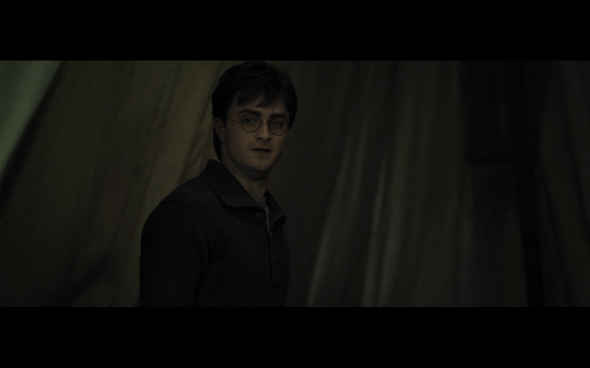 Harry Potter and the Deathly Hallows Part 1 - 747