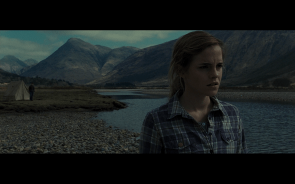 Harry Potter and the Deathly Hallows Part 1 - 749