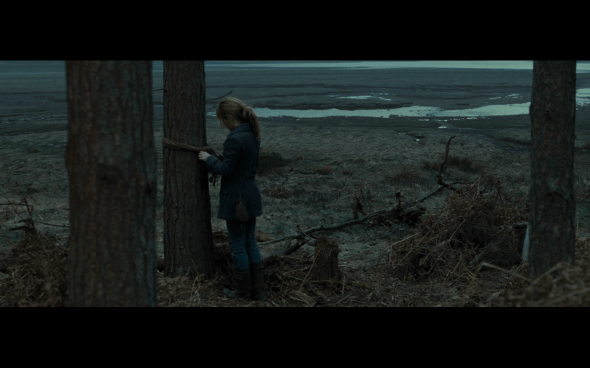 Harry Potter and the Deathly Hallows Part 1 - 751