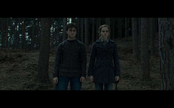 Harry Potter and the Deathly Hallows Part 1 - 752