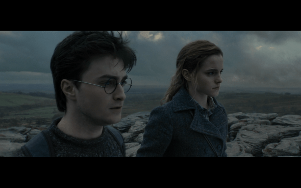 Harry Potter and the Deathly Hallows Part 1 - 754