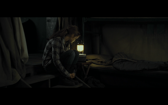 Harry Potter and the Deathly Hallows Part 1 - 763