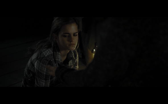 Harry Potter and the Deathly Hallows Part 1 - 766