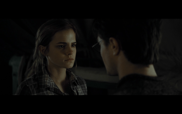 Harry Potter and the Deathly Hallows Part 1 - 767