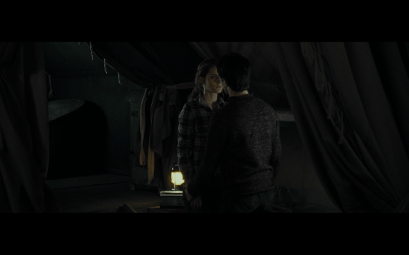 Harry Potter and the Deathly Hallows Part 1 - 769