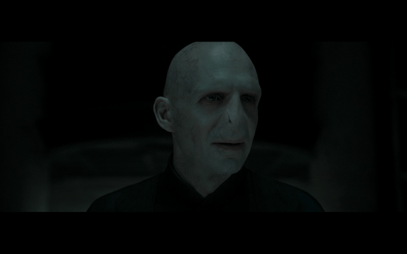 Harry Potter and the Deathly Hallows Part 1 - 77