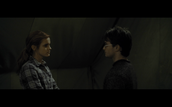 Harry Potter and the Deathly Hallows Part 1 - 771