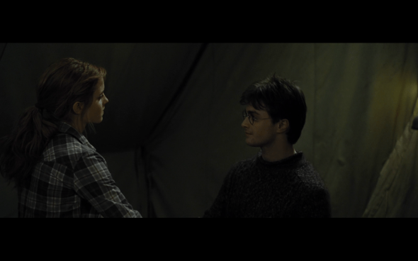 Harry Potter and the Deathly Hallows Part 1 - 772