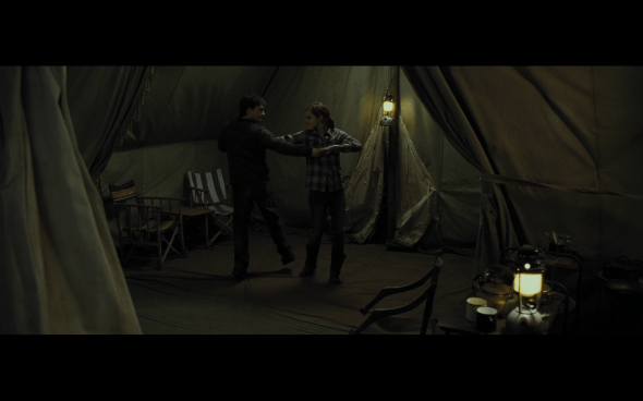 Harry Potter and the Deathly Hallows Part 1 - 777