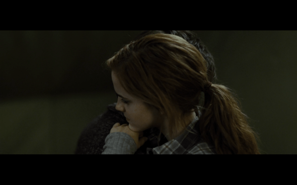 Harry Potter and the Deathly Hallows Part 1 - 781