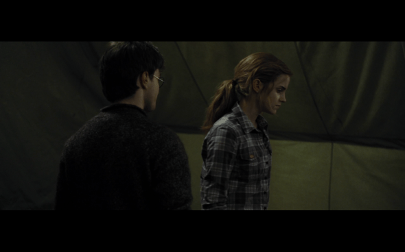 Harry Potter and the Deathly Hallows Part 1 - 783