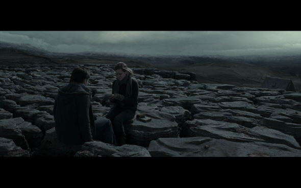 Harry Potter and the Deathly Hallows Part 1 - 789