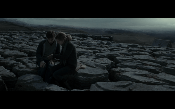 Harry Potter and the Deathly Hallows Part 1 - 791