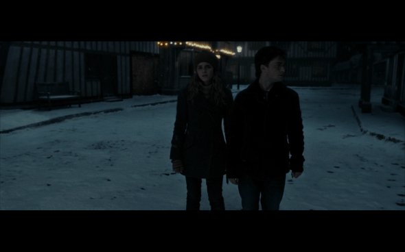 Harry Potter and the Deathly Hallows Part 1 - 799