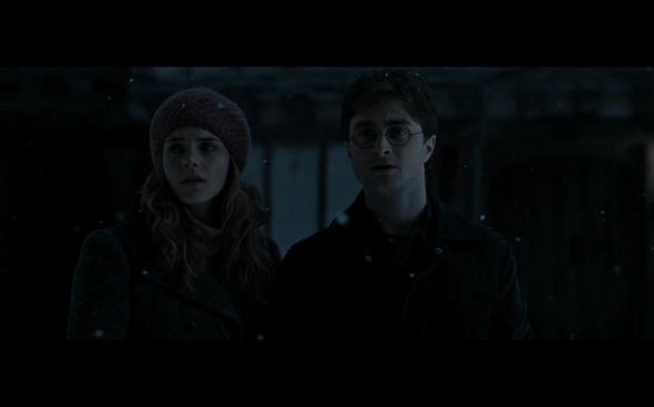 Harry Potter and the Deathly Hallows Part 1 - 805