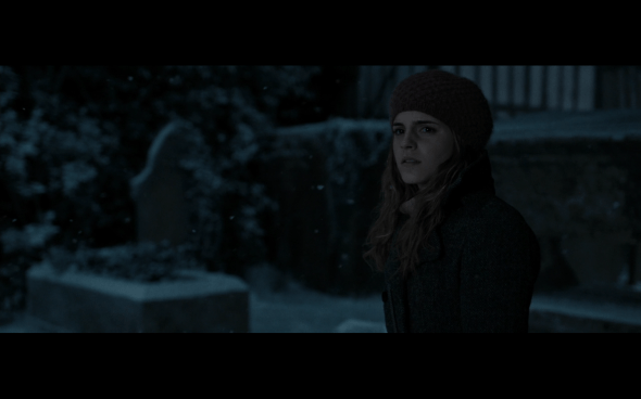 Harry Potter and the Deathly Hallows Part 1 - 811