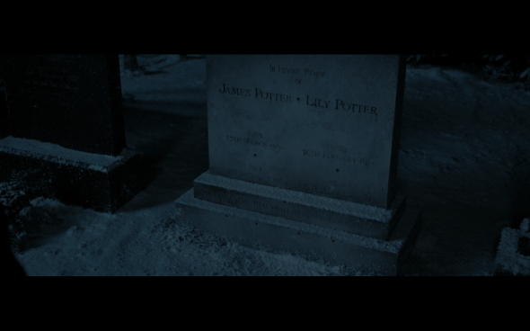 Harry Potter and the Deathly Hallows Part 1 - 812