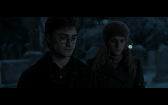 Harry Potter and the Deathly Hallows Part 1 - 813