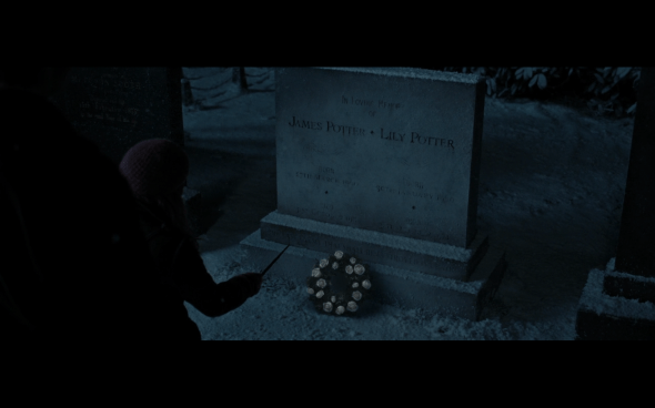 Harry Potter and the Deathly Hallows Part 1 - 815