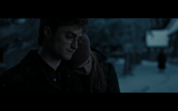 Harry Potter and the Deathly Hallows Part 1 - 818
