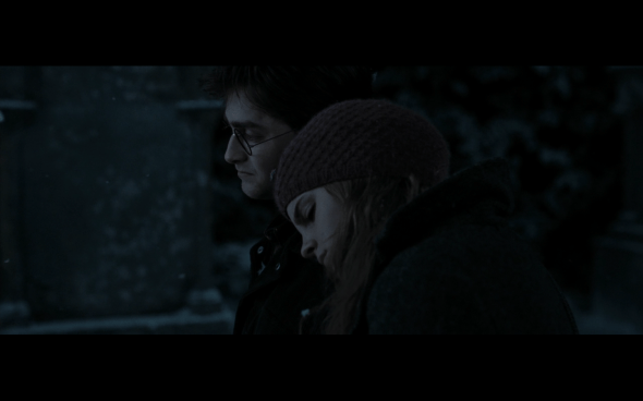 Harry Potter and the Deathly Hallows Part 1 - 819