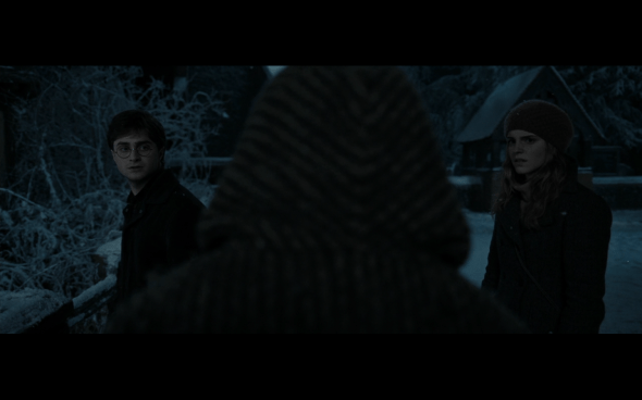 Harry Potter and the Deathly Hallows Part 1 - 828