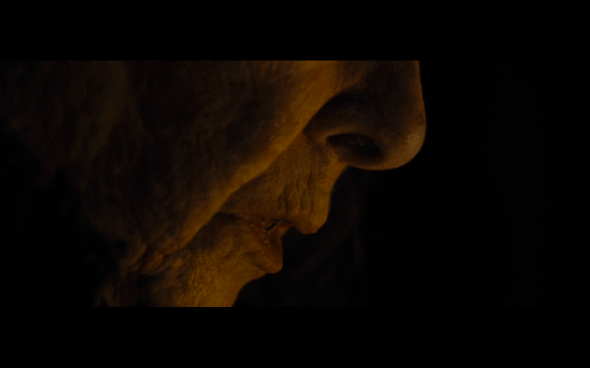 Harry Potter and the Deathly Hallows Part 1 - 842