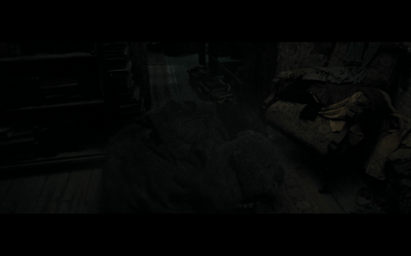 Harry Potter and the Deathly Hallows Part 1 - 844