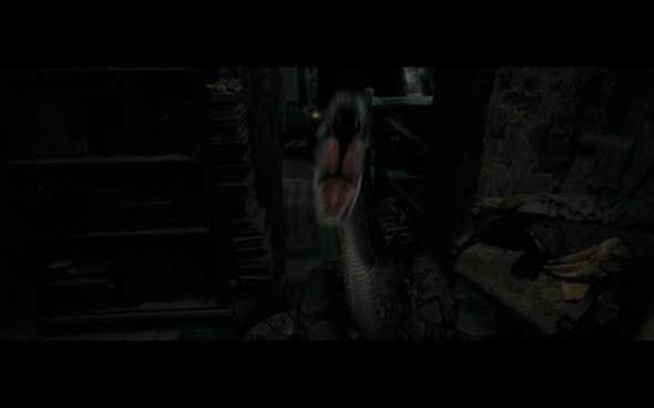 Harry Potter and the Deathly Hallows Part 1 - 845