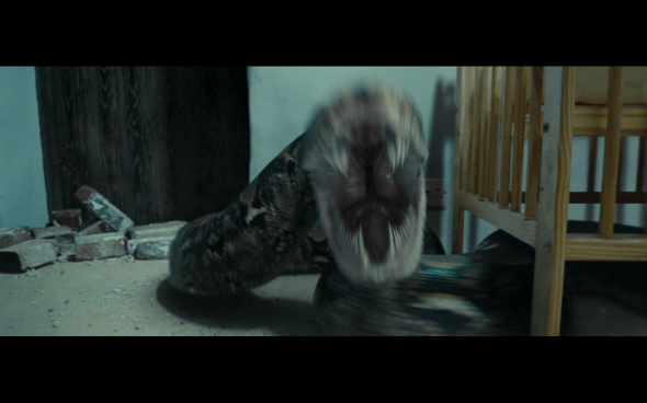 Harry Potter and the Deathly Hallows Part 1 - 848a